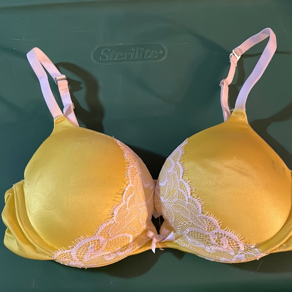 Fredericks bra